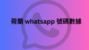 墨西哥 whatsapp 號碼數據